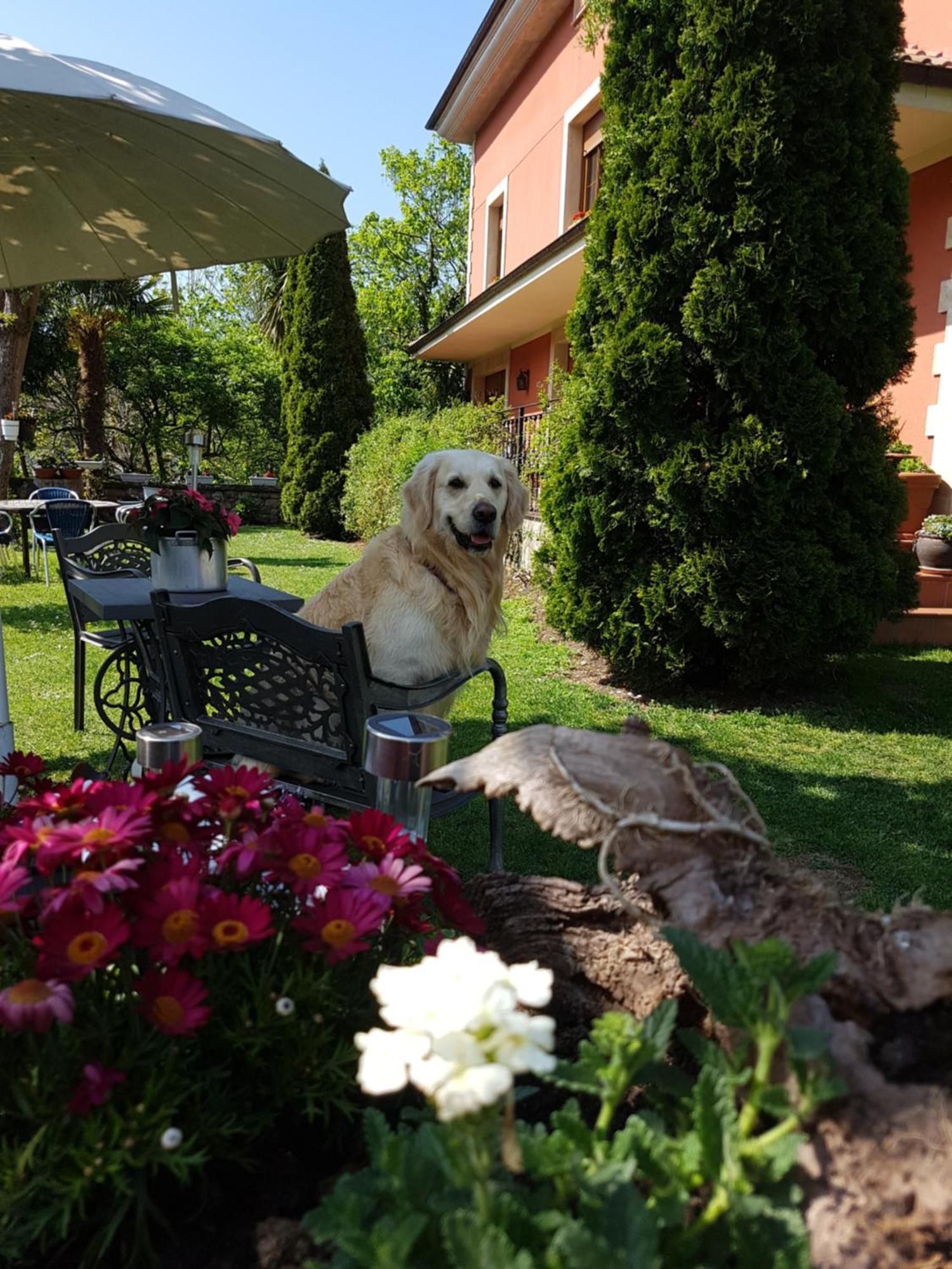 Hotel Rural El Torrejon Arenas De Cabrales Exterior photo