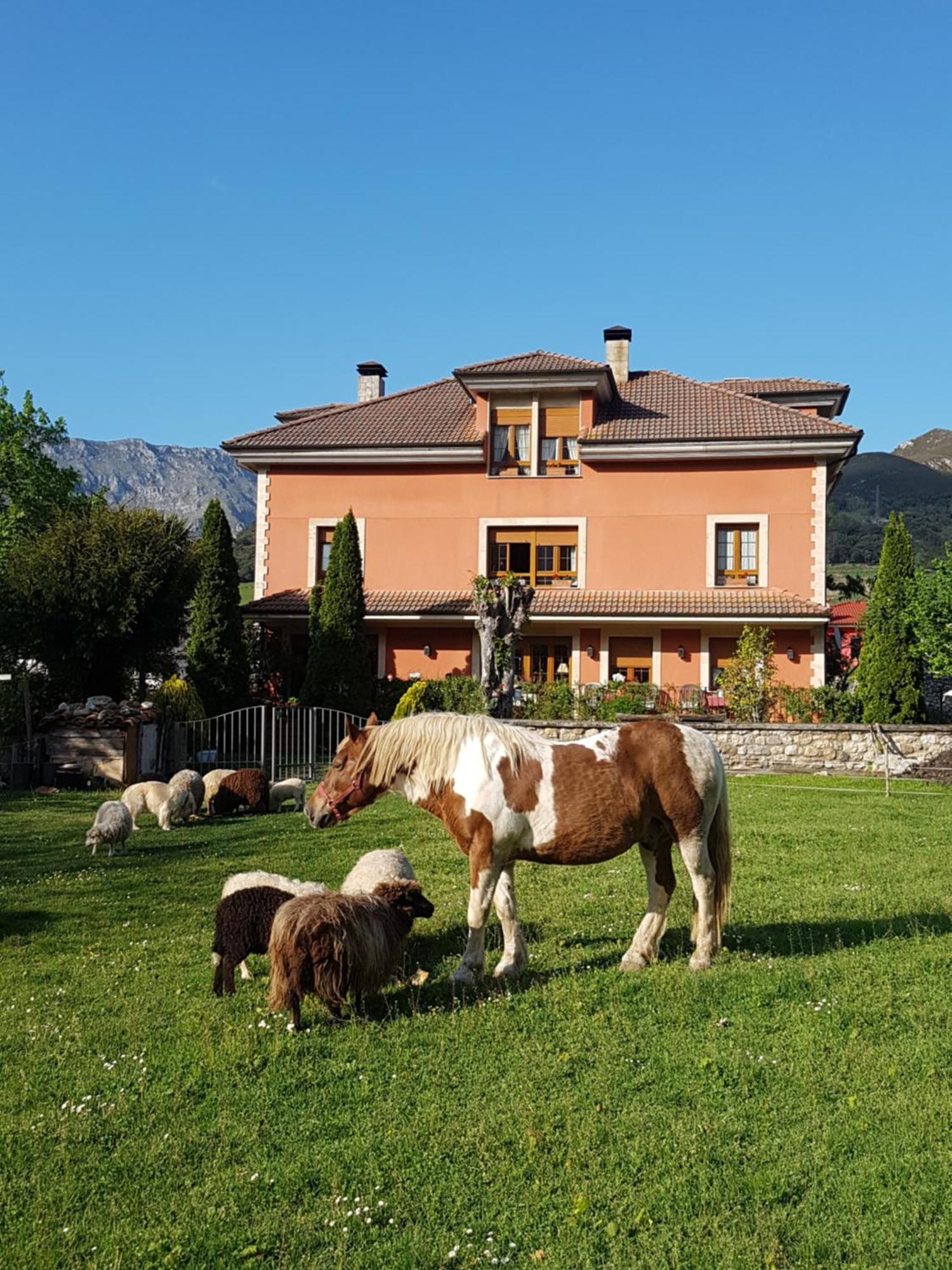 Hotel Rural El Torrejon Arenas De Cabrales Exterior photo